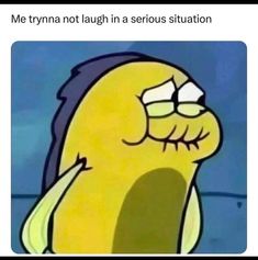 Pin by Oswin Oswald on I Laughed | Spongebob funny pictures, Spongebob funny, Cute memes