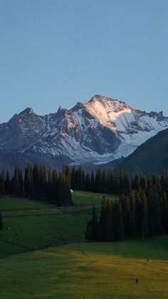 the mountains are covered in snow and green grass