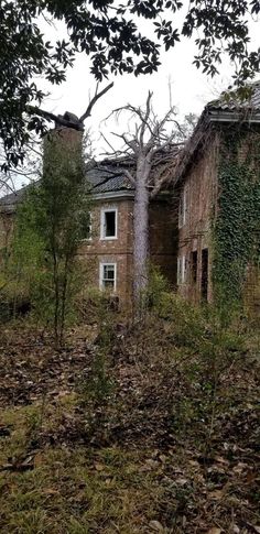 an old abandoned house in the woods