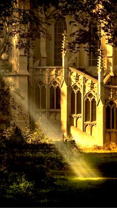 sunlight shining through the trees onto an old building
