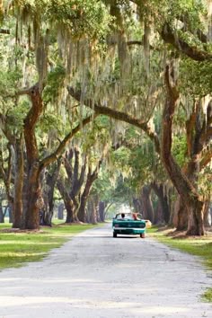 a red car driving down a road under trees with spanish moss hanging from the branches