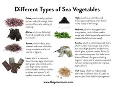 Pin by 貞子 山村 on Vlife in 2025 | Sea vegetables, Edible seaweed, Vegetables