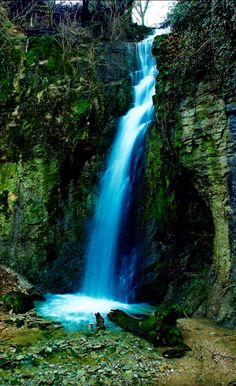 Single Stream Waterfall in a Forest