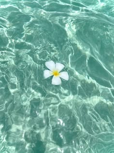 My profile pic!!! (Feel free to use) in 2025 | Summer wallpaper, Beach wallpaper, Cute summer wallpapers