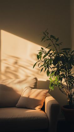 modern living room interior design, soft lighting, cozy textures, minimalist decor, earth tones, beautiful plants, stylish furniture, perfect for Pinterest inspiration, high-quality photography.