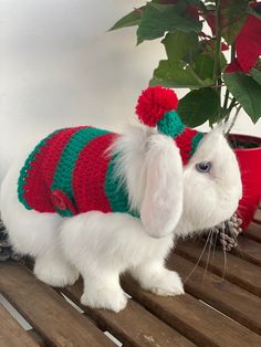 Adorable Rabbit Pet Christmas Clothing Set