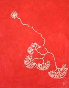 Pintura roja con diseños blancos