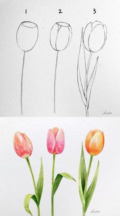 Watercolor Tutorials for Beginners | Learn how to draw and paint,, Art blog | Facebook in 2025 | Painting flowers tutorial, Flower drawing, Flower drawing tutorials