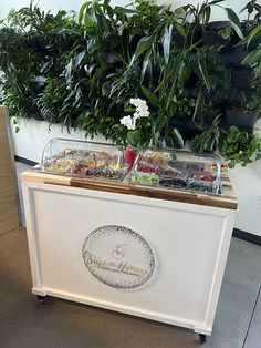 a buffet table with plants and food on it in front of a wall mounted planter