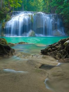 Captivating Waterfall in a Forest