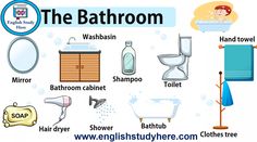 The Bathroom Vocabulary in English - English Study Here | English vocabulary, English study, Vocabulary