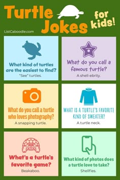 A list of the best turtle jokes for kids of all ages.