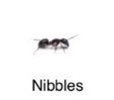 an ant with the words nibbles on it