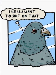 Cartoon bird meme that shows what pigeons think about