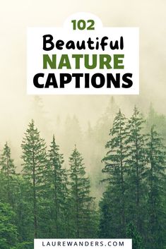 100+ Nature Captions and Quotes for Instagram | Nature captions for instagram, Nature quotes, Nature quotes inspirational