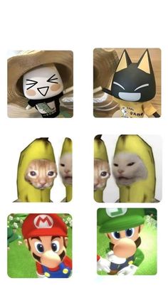 several pictures of different animals and their faces