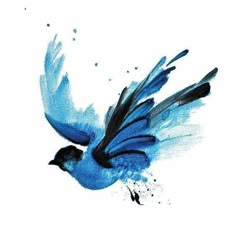 a blue bird flying through the air with its wings spread