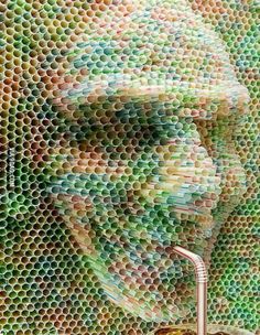 The face represents proportion and scale, as the nose, cheeks, and eyebrows jut out. There is a relationship between the straws… | Unusual art, Straw art, Trash art