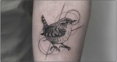 a small bird tattoo on the left inner forearm and lower arm with circles around it