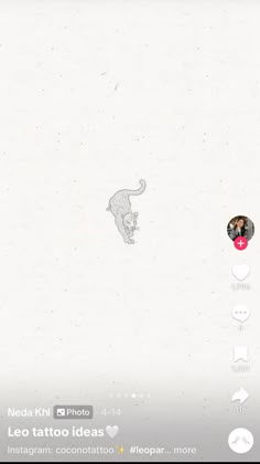 an image of a cat that is on the screen