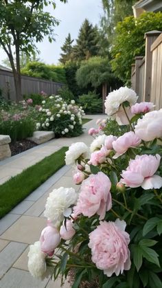 A serene cut flower garden idea featuring a paved walkway lined with blooming peonies in shades of white … in 2025 | White flowers garden, Cut flower garden, Peonies garden