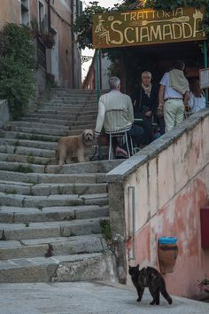 Poggio Village, Elba Island, Italy | Elba island, Elba, Italy street