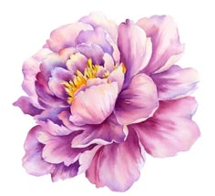 Pin by Katarzyna Najdowska on dekoracje do wydruku in 2025 | Flower art painting, Flower art images, Peony painting