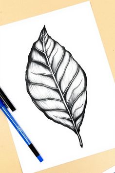 a drawing of a leaf on paper next to a blue marker and some pencils
