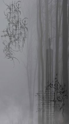 an image of a foggy forest with trees