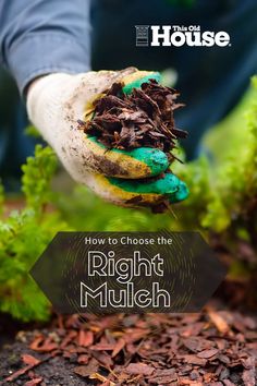 a person holding up a green plant with dirt on it and the words how to choose the right mulch for your garden