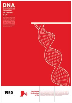 Swiss Design in a Historical Context - Scott Coleman | Graphic design infographic, Swiss design, Dna design