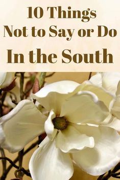 white flowers with text that reads 10 things not to say or do in the south
