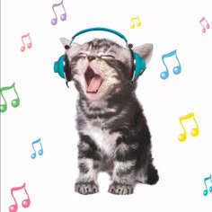 Süßer Katzenkopfhörer