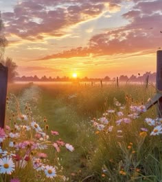 Pin by Jennifer Emch on spring in 2025 | Nature photography, Pretty landscapes, Nature pictures