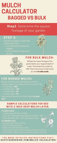 an info sheet describing the different types of flowers and plants in which they appear to be flowering