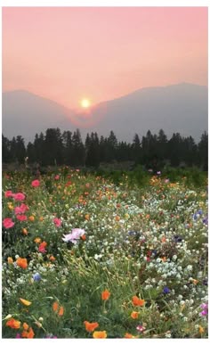 Épinglé par Korrie Dygon sur Beauty | Photographe nature, Jardin de famille, Belle nature