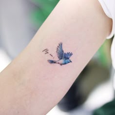 a small blue bird flying away from the word love on a woman's arm