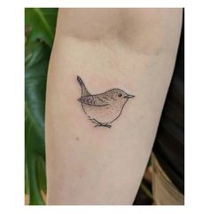 a small bird tattoo on the left inner arm and leg, with an outline of a bird sitting on it's side