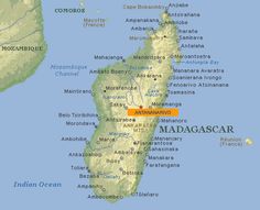 Cirdan wants to go to Madagascar! | Pinterest