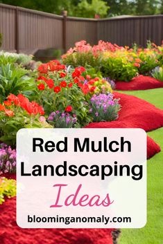 Front Yard Red Mulch Landscaping Ideas