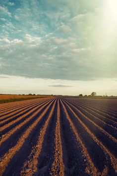 Sustainable agriculture
Modern farming practices
Eco-friendly farming
Precision agriculture
Agricultural technology
Farming innovations
Climate-smart agriculture
Agroecology
Farm-to-table movement
Organic farming
Green farming
Regenerative agriculture
Vertical farming