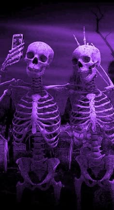 two skeletons sitting next to each other in front of a purple background with the cell phone