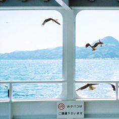 seagulls flying over the water from a boat window with mountains in the background