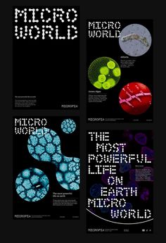 four different types of brochures are shown in this graphic art work, with the words micro world on them