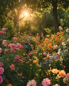 Pin by Allie Burton Art on Art Inspiration in 2025 | Pretty landscapes, Spring nature, Nature aesthetic