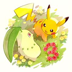 Pikachu e Chikorita | Pokémon in 2025 | Pikachu, Pokemon, First pokemon