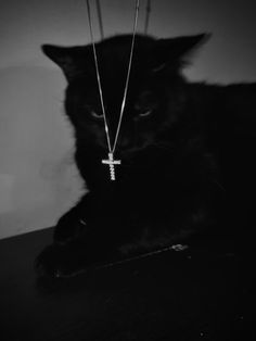 a black cat with a cross on it's neck sitting on top of a table