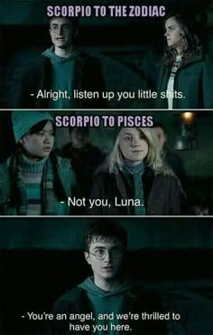 harry potter and hermione's friends are in the same room with each other