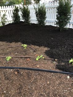 the garden is ready to be planted and put into the ground by the white picket fence