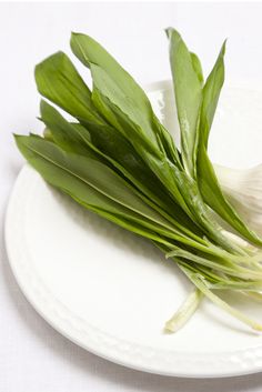 Wild Garlic: A Versatile Ingredient for Delicious Recipes